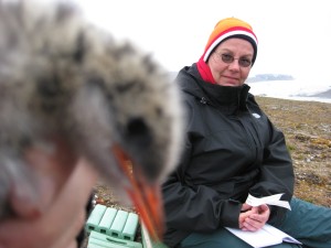 Andrea Gröne is assisting me with ringing and blood sampling